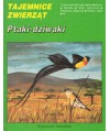 Ptaki-dziwaki