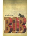Gdzie jest Bob?