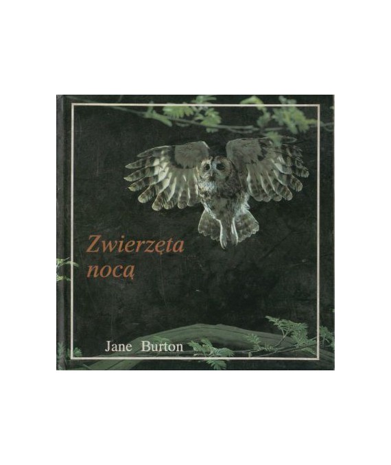 Zwierzęta nocą. Zachowanie się zwierząt
