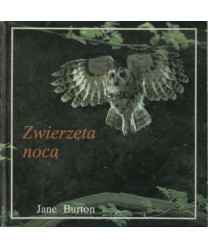 Zwierzęta nocą. Zachowanie się zwierząt