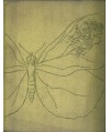 Biologia