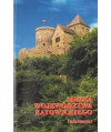 Muzea województwa katowickiego. Informator