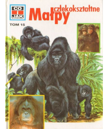 Małpy człekokształtne