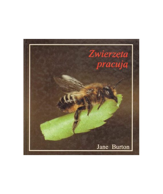Zwierzęta pracują