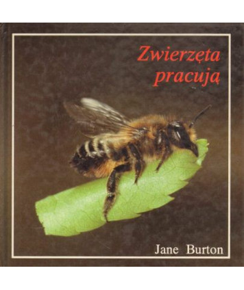 Zwierzęta pracują