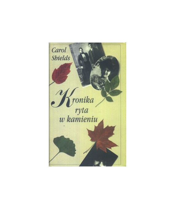 Kronika ryta w kamieniu