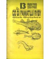 Co si pamatuji ryby