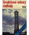 Grudniowe wdowy czekają