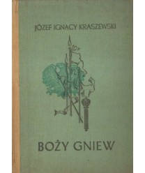 Boży gniew. Czasy Jana Kazimierza