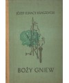 Boży gniew. Czasy Jana Kazimierza
