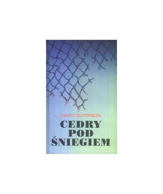 Cedry pod śniegiem