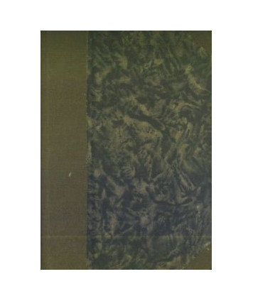 Synowie człowieka o kamiennem sercu