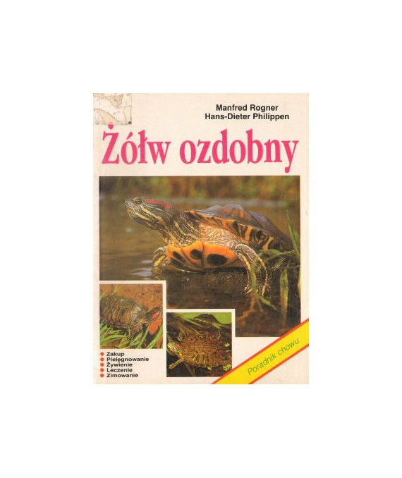 Żółw ozdobny