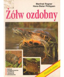 Żółw ozdobny