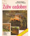 Żółw ozdobny