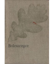 Boleszczyce. Powieść z czasów Bolesława Szczodrego