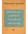 Prehistoria polskich związków młodzieży