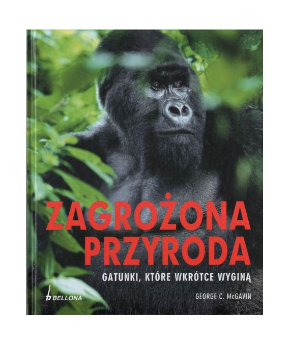 Zagrożona przyroda. Gatunki, które wkrótce wyginą