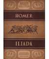 Iliada. Wybór