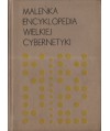 Maleńka encyklopedia wielkiej cybernetyki
