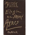 Elegia na śmierć Agnes