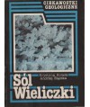 Sól Wieliczki