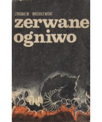 Zerwane ogniwo
