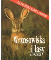 Wrzosowiska i lasy mieszane. Encyklopedia dziekich zwierząt