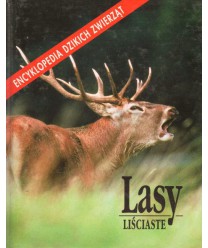 Lasy liściaste. Encyklopedia dzikich zwierząt
