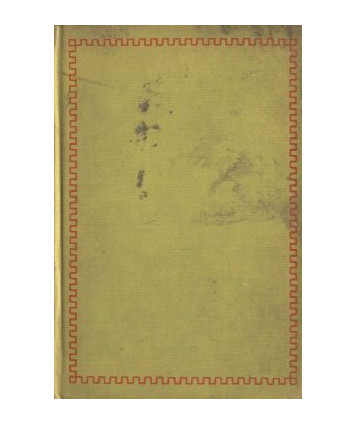 Firecrackers a realistic novel