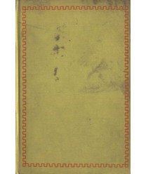 Firecrackers a realistic novel