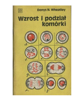 Wzrost i podział komórki
