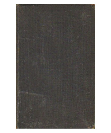 Błękitne szynszyle. Powieść
