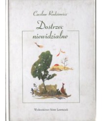Dostrzec niewidzialne