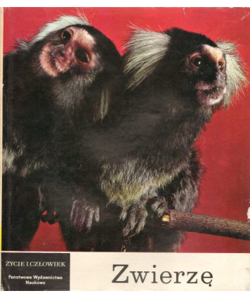 Zwierzę