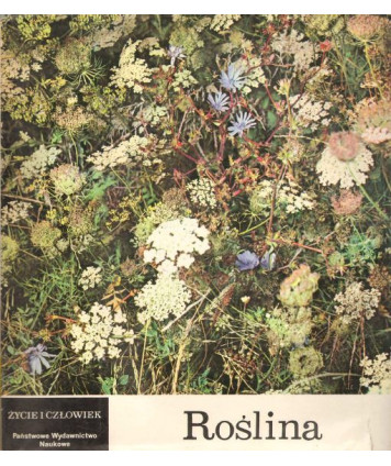 Roślina