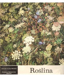 Roślina