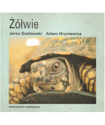 Żółwie
