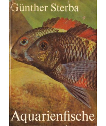 Aquarienfische