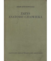 Zarys anatomii człowieka. Kompendium dla studentów i lekarzy