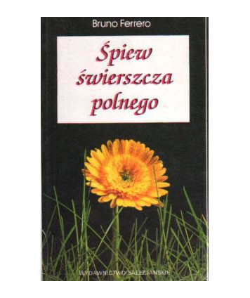 Śpiew świerszcza polnego. Krótkie opowiadania dla ducha