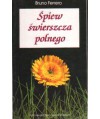 Śpiew świerszcza polnego. Krótkie opowiadania dla ducha