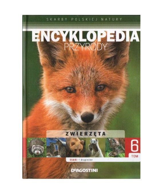 Encyklopedia przyrody t.6 Zwierzęta - ssaki drapieżne