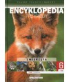 Encyklopedia przyrody t.6 Zwierzęta - ssaki drapieżne
