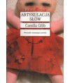 Artykulacja słów