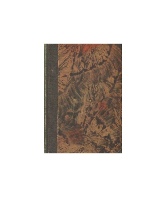 Czarny generał. Romans historyczny