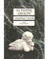 Na pastwę aniołów