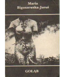 Gołąb