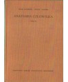Anatomia człowieka t.III Układ naczyniowy
