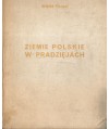 Ziemie polskie w pradziejach